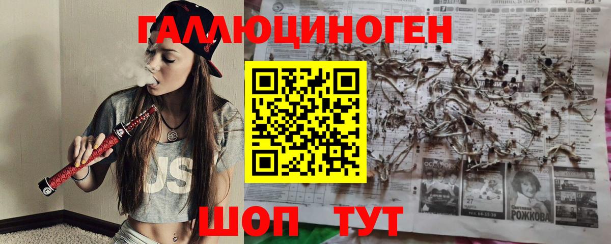 Псилоцибиновые грибы мухоморы Чебоксары